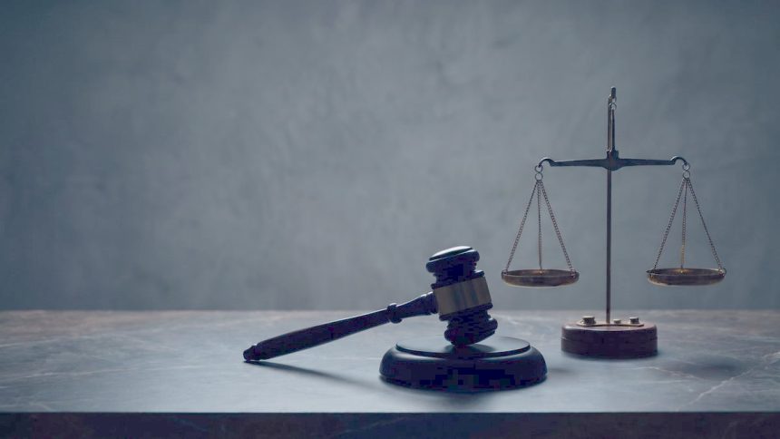 Denetim ve mali inceleme temalı belge görseli