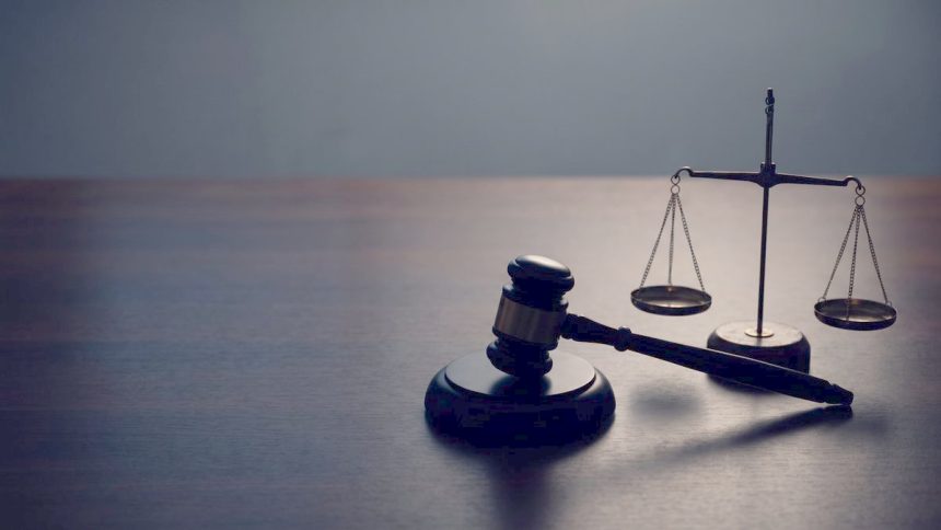 Denetim ve mali inceleme temalı belge görseli